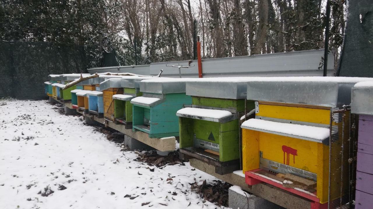 Agriturismo Honey Farm Пьяццола-суль-Брента Экстерьер фото